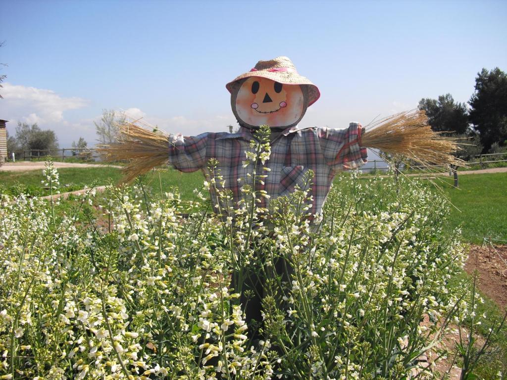 Vilar Rural De Cardona Luaran gambar