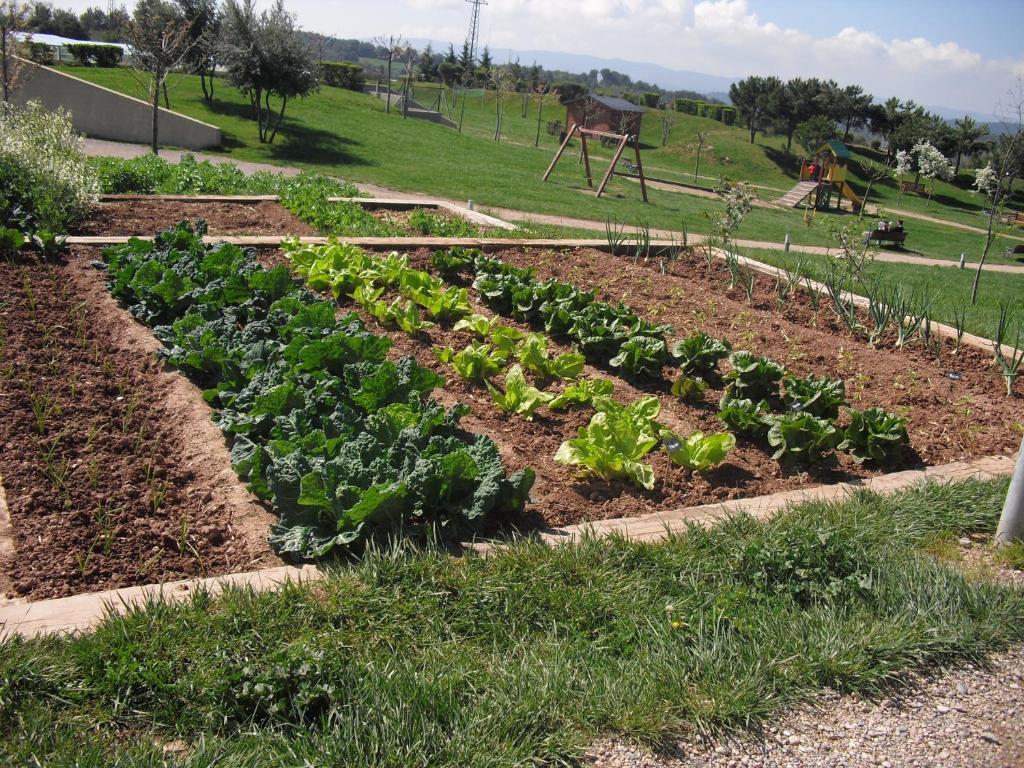 Vilar Rural De Cardona Luaran gambar